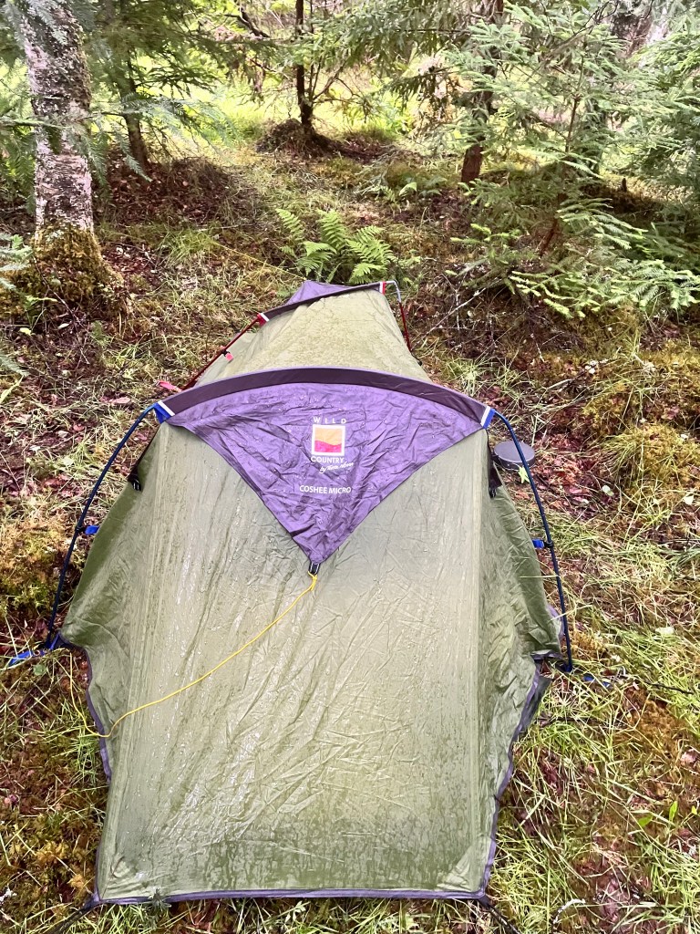 Wild camping in a forest on the East Highland Way after the tent pole snapped.
